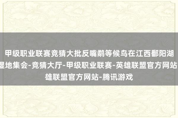 甲级职业联赛竞猜大批反嘴鹬等候鸟在江西鄱阳湖湖涎水域湿地集会-竞猜大厅-甲级职业联赛-英雄联盟官方网站-腾讯游戏